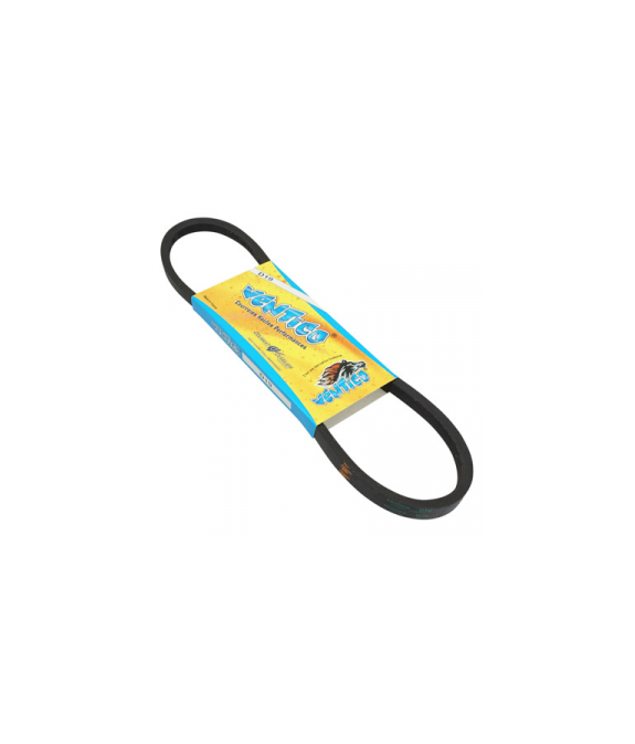 Courroie Ventico D19 pour BB/C/CT/LT/RT/RS et Honda Amigo