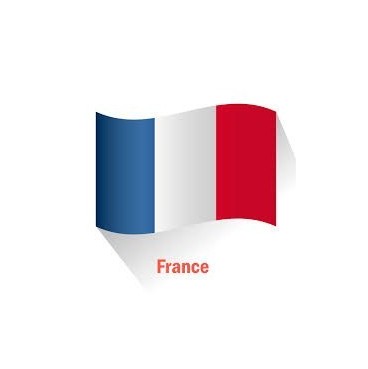 ATV : Arrache volant magnétique  PERF pour tous Solex