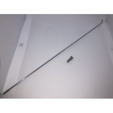 Rayon arrière + écrou pour Solex 3800 (sauf Motobécane)