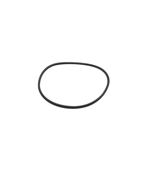 Courroie Polini pour pompe à eau 51 ou 103