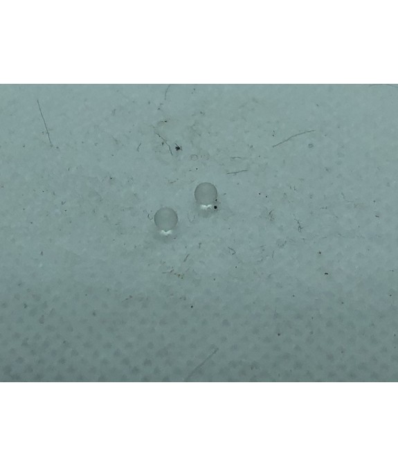 Billes  adapt Solex pour pompe à essence pour tous moteurs