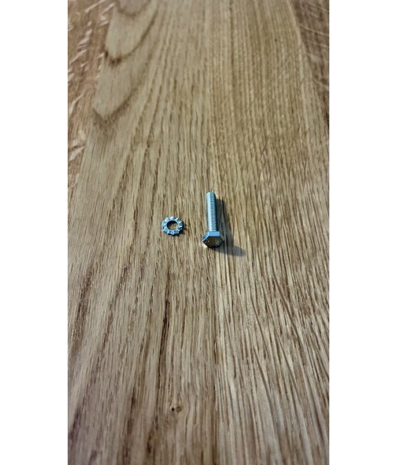 Vis de pompe ou de bobine pour Solex