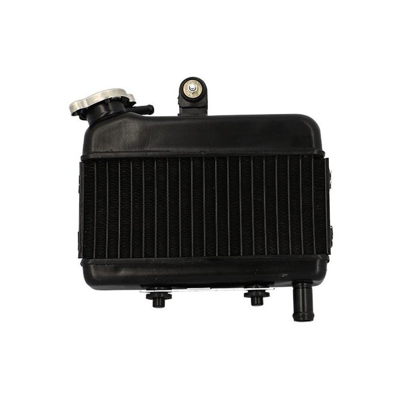 copy of Ecrou de variateur Peugeot 103 SPX RCX