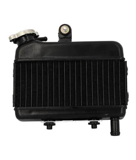Radiateur adaptable 103 RCX et SPX LC