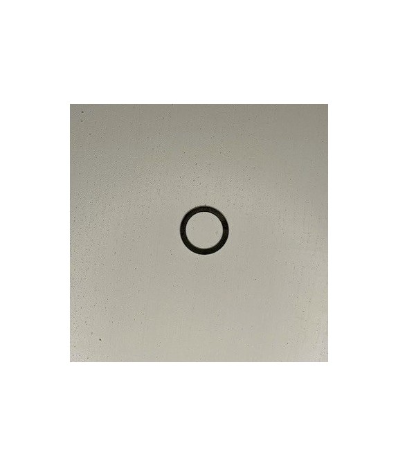 Rondelle d'embrayage PERF