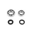 Kit de joints et roulements bas moteur standard 103