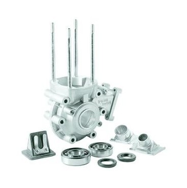 Kopie von Carters moteur POLINI SP