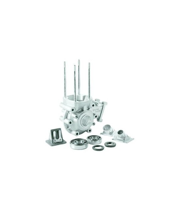 Kopie von Carters moteur POLINI SP