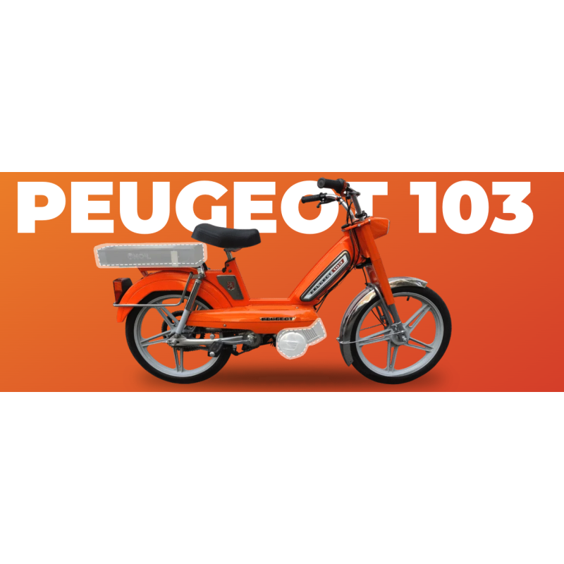 Retrofit sur Peugeot