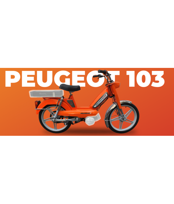 Kopie van copy of Retrofit sur Peugeot 103