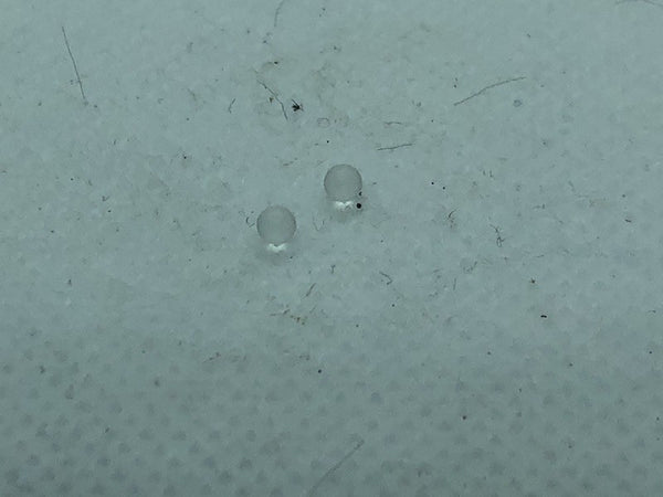 Billes  adapt Solex pour pompe à essence pour tous moteurs