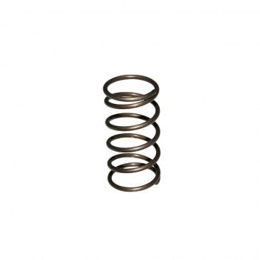 Engine pivot spring