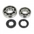 Kit de joints et roulements moteur (haut de gamme) 103