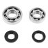 Kit de joints et roulements bas moteur standard 103